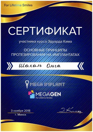 Certificates, awards, diplomas - Шакаль Ольга Васильевна